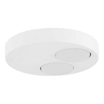 Ceiling light BROS 2xGX53/12W/230V white