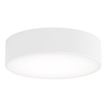 Ceiling light CLEO 2xE27/24W/230V d. 30 cm white