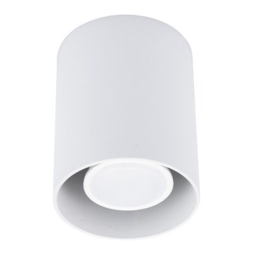 Ceiling light CREEP 1xGU10/50W/230V white
