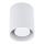Ceiling light CREEP 1xGU10/50W/230V white