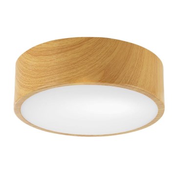 Ceiling light DANTE 1xE27/60W/230V d. 26 cm