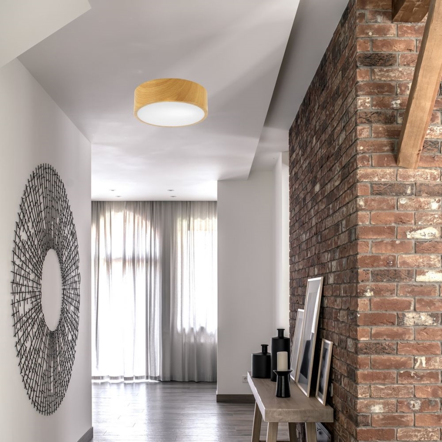 Ceiling light DANTE 1xE27/60W/230V d. 26 cm