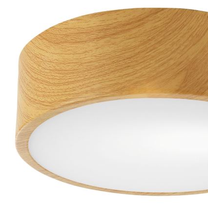 Ceiling light DANTE 1xE27/60W/230V d. 26 cm