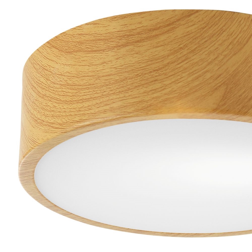 Ceiling light DANTE 1xE27/60W/230V d. 26 cm