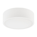 Ceiling light DANTE 1xE27/60W/230V d. 26 cm white