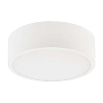 Ceiling light DANTE 1xE27/60W/230V d. 26 cm white