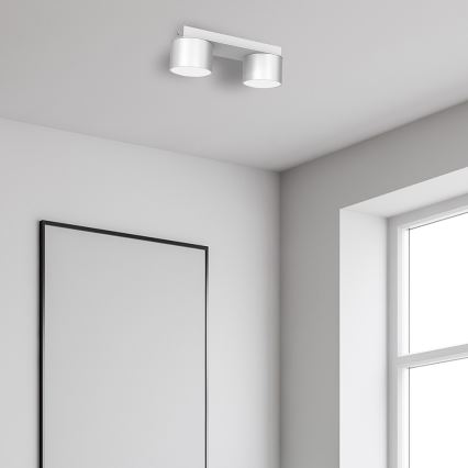 Ceiling light DIXIE 2xGX53/11W/230V white