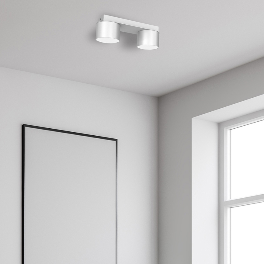 Ceiling light DIXIE 2xGX53/11W/230V white