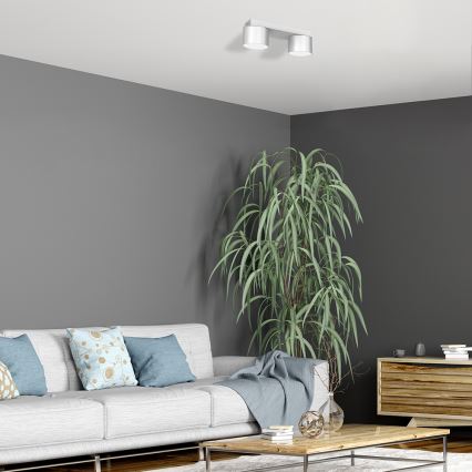Ceiling light DIXIE 2xGX53/11W/230V white