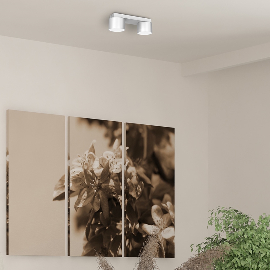 Ceiling light DIXIE 2xGX53/11W/230V white