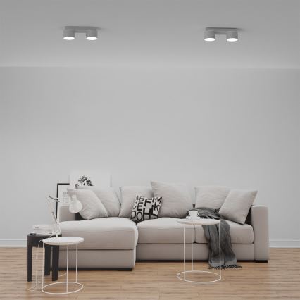 Ceiling light DIXIE 2xGX53/11W/230V white