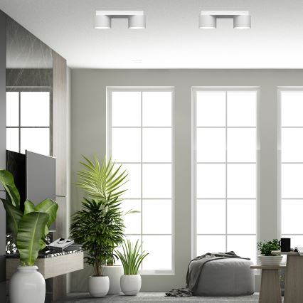 Ceiling light DIXIE 2xGX53/11W/230V white
