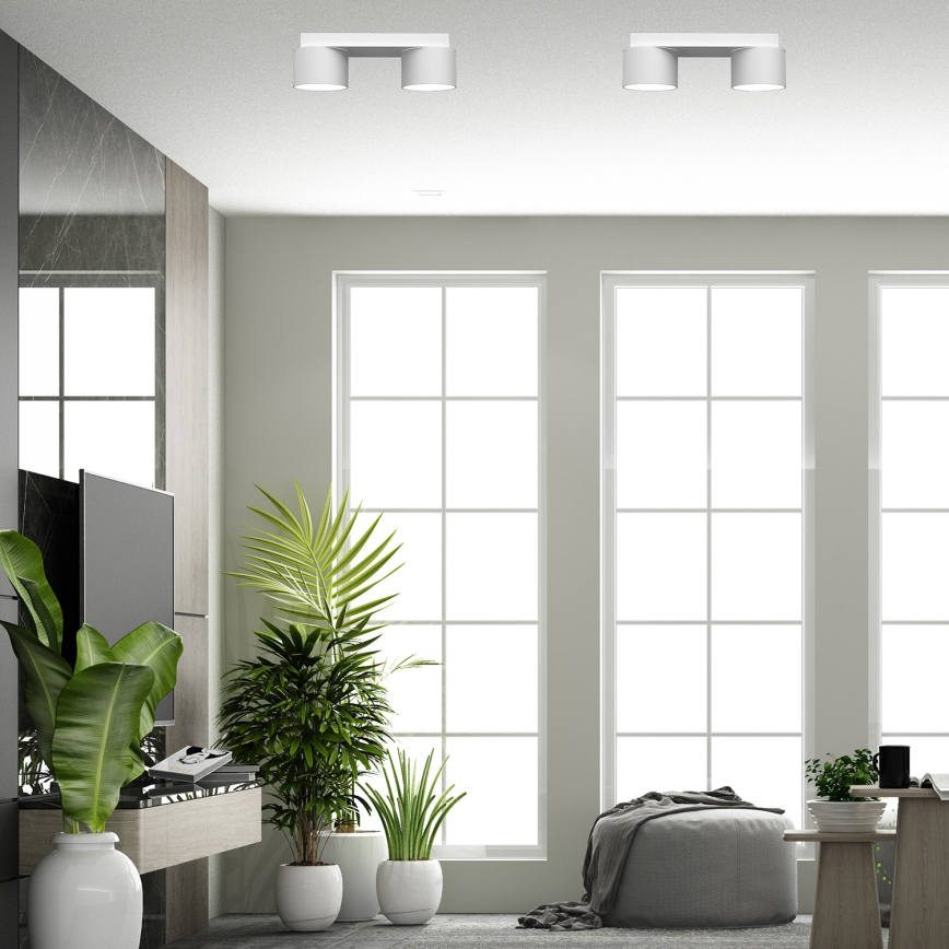 Ceiling light DIXIE 2xGX53/11W/230V white