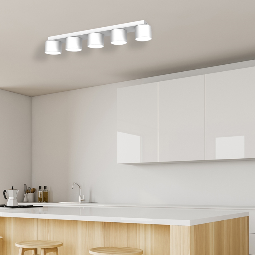 Ceiling light DIXIE 5xGX53/11W/230V white