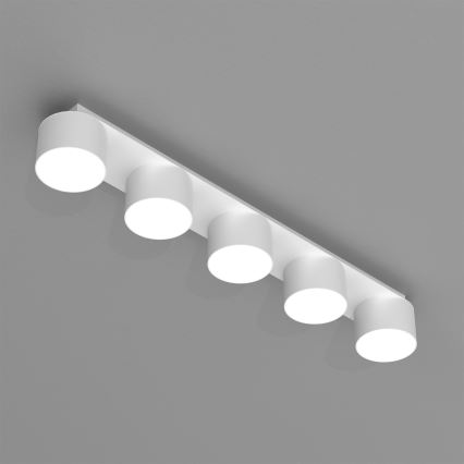 Ceiling light DIXIE 5xGX53/11W/230V white