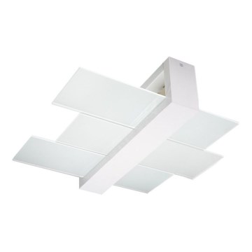 Ceiling light FENIKS 2 2xE27/60W/230V Birch/beech/white
