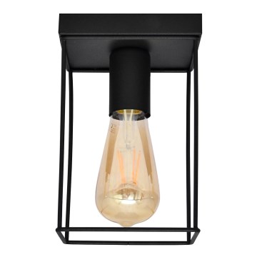Ceiling light FINN 1xE27/15W/230V black