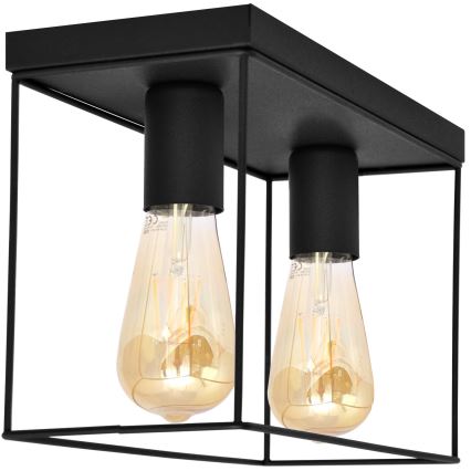 Ceiling light FINN 2xE27/15W/230V black