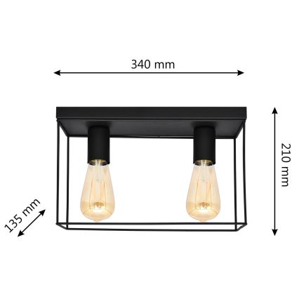 Ceiling light FINN 2xE27/15W/230V black