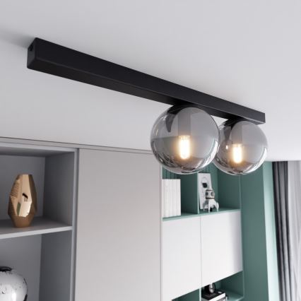 Ceiling light FIT 2xE14/10W/230V black/grey