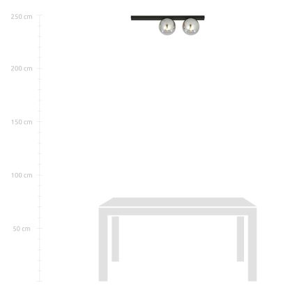 Ceiling light FIT 2xE14/10W/230V black/grey