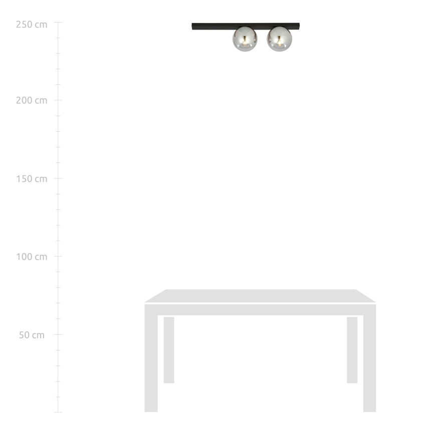 Ceiling light FIT 2xE14/10W/230V black/grey