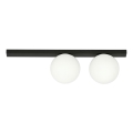 Ceiling light FIT 2xE14/10W/230V black/white