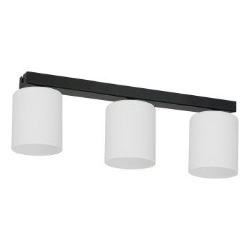 Ceiling light FORT 3xE27/60W/230V