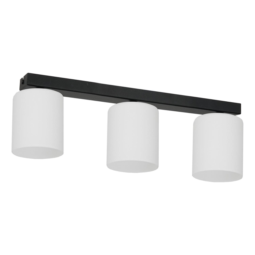 Ceiling light FORT 3xE27/60W/230V