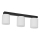 Ceiling light FORT 3xE27/60W/230V