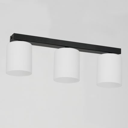 Ceiling light FORT 3xE27/60W/230V
