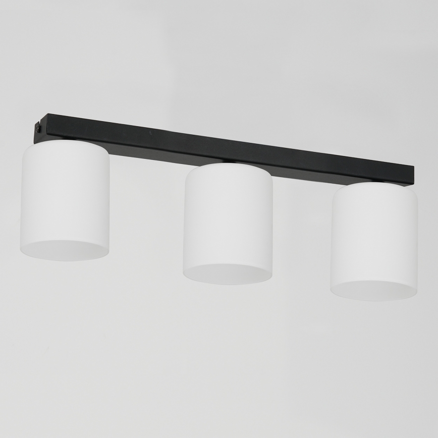 Ceiling light FORT 3xE27/60W/230V