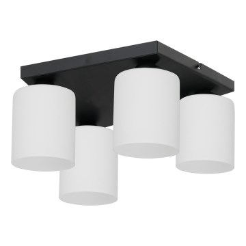 Ceiling light FORT 4xE27/60W/230V