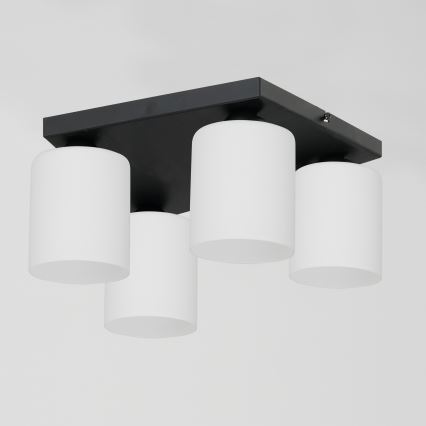 Ceiling light FORT 4xE27/60W/230V