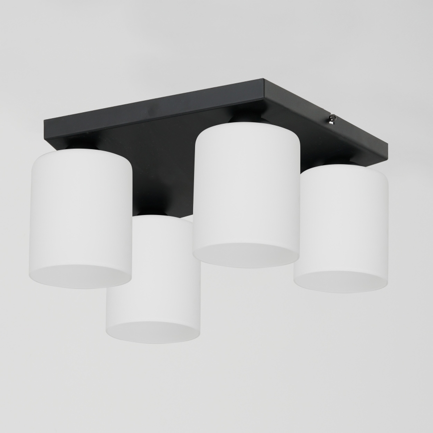 Ceiling light FORT 4xE27/60W/230V