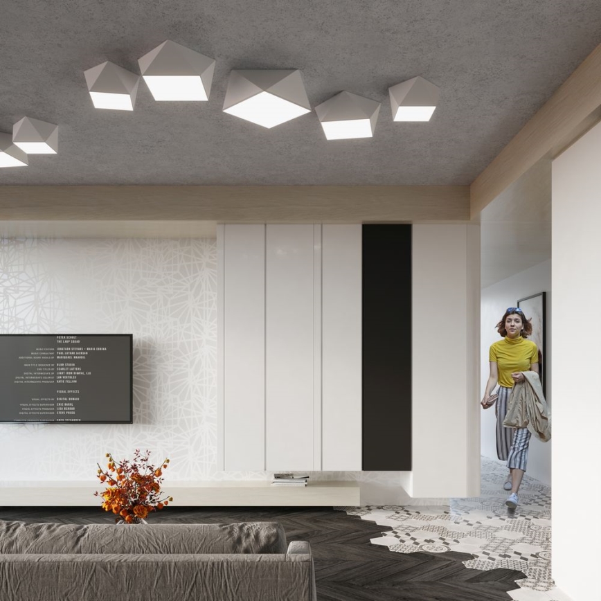 Ceiling light HEXA 2xE27/60W/230V white