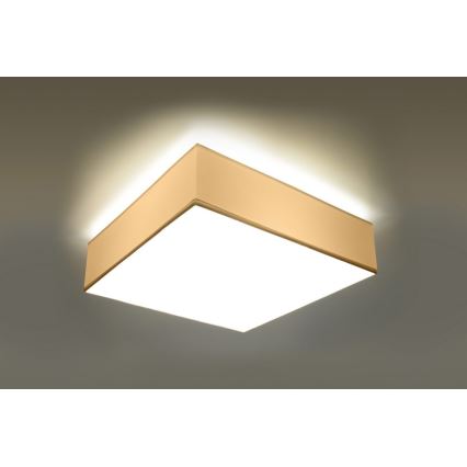 Ceiling light HORUS 35 2xE27/60W/230V white
