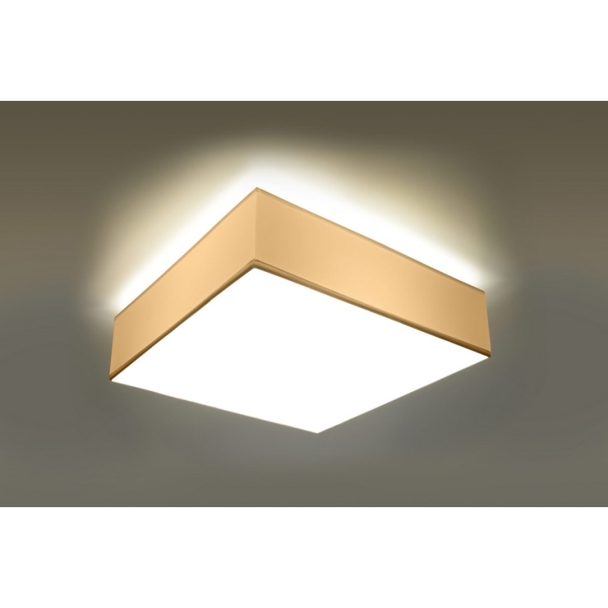 Ceiling light HORUS 35 2xE27/60W/230V white