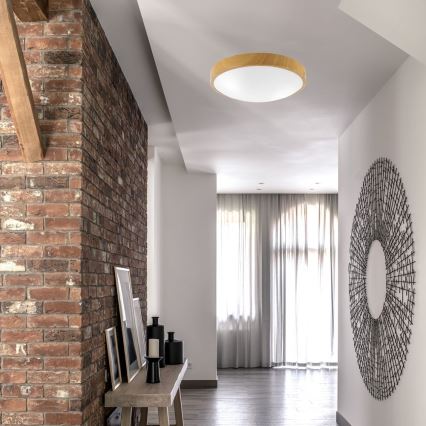 Ceiling light JONAS 2xE27/60W/230V d. 36 cm