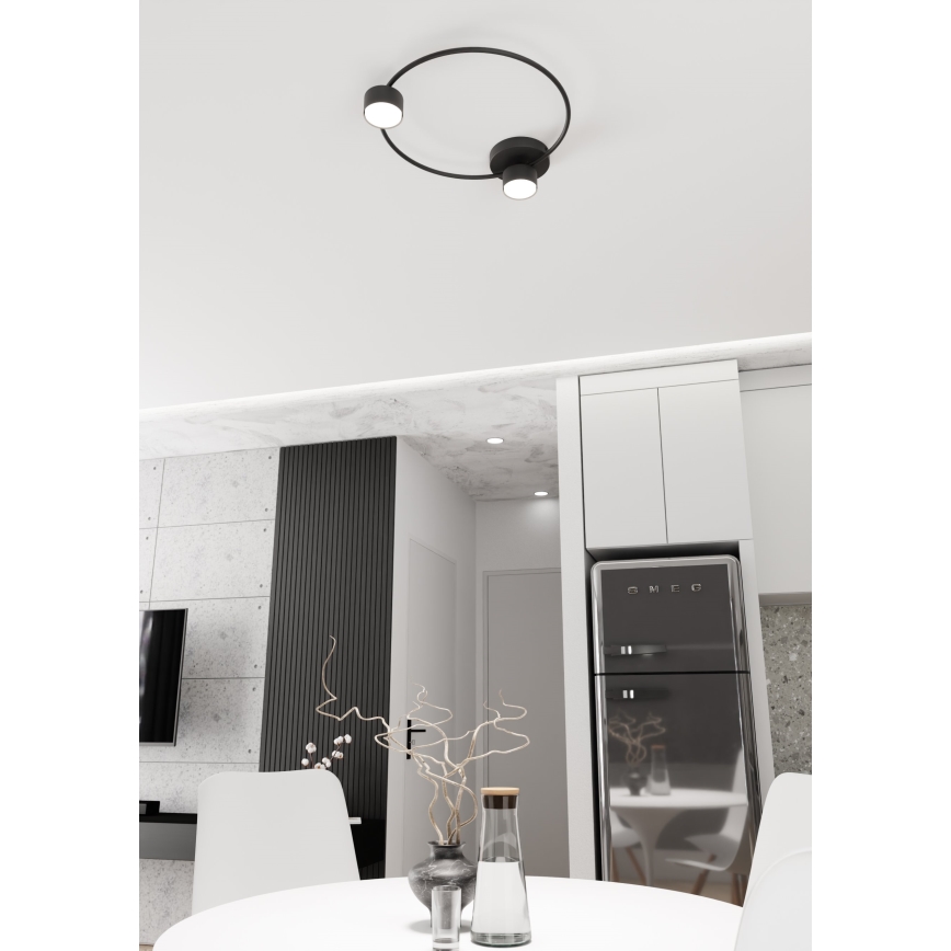 Ceiling light LUCIO 2xGX53/12W/230V black
