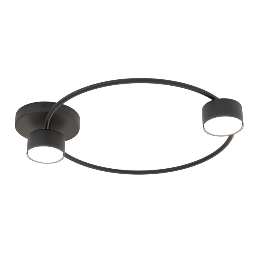 Ceiling light LUCIO 2xGX53/12W/230V black