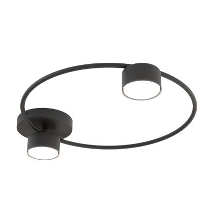 Ceiling light LUCIO 2xGX53/12W/230V black