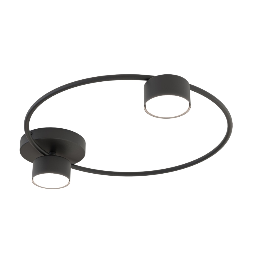 Ceiling light LUCIO 2xGX53/12W/230V black