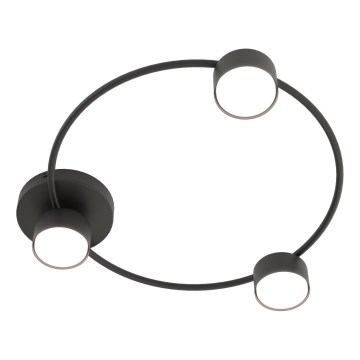 Ceiling light LUCIO 3xGX53/12W/230V black
