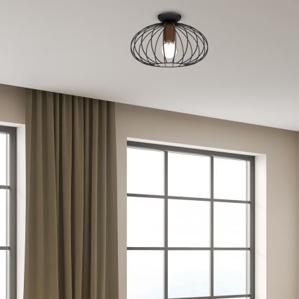 Ceiling light MERIDIANO 1xE27/60W/230V