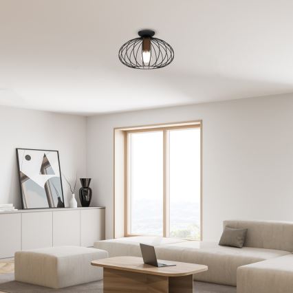 Ceiling light MERIDIANO 1xE27/60W/230V