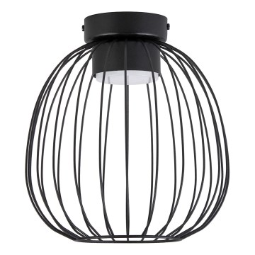 Ceiling light OVELLA 1xGX53/10W/230V Ø 25 cm black