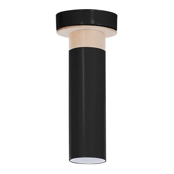 Ceiling light PEDRO 1xGU10/25W/230V