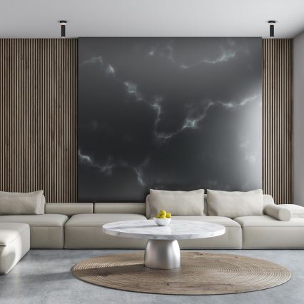 Ceiling light PEDRO 1xGU10/25W/230V