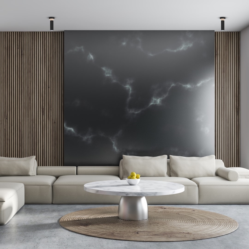 Ceiling light PEDRO 1xGU10/25W/230V